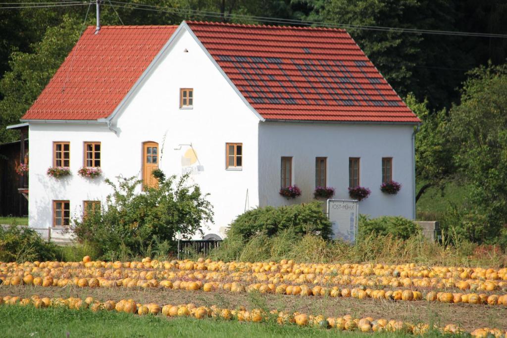Buchgrabenhof Leilighet Windisch Minihof Eksteriør bilde
